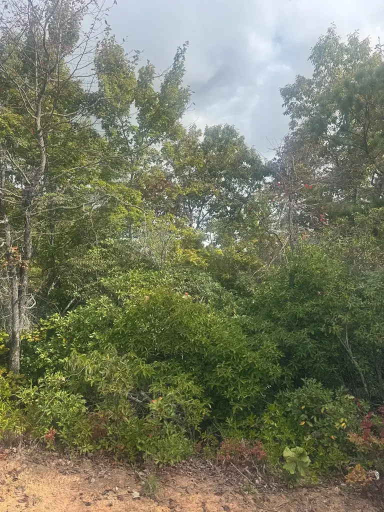 Lot 16 Brown Hawk, Clayton, GA 30525 - Image #3