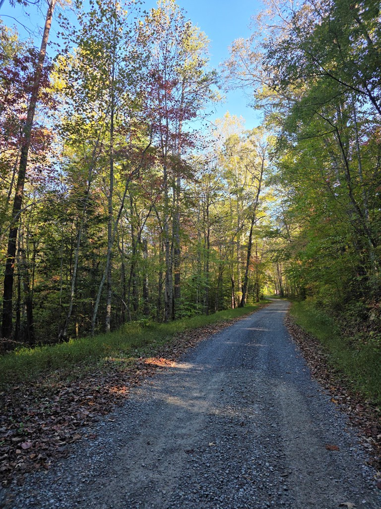 0 Garrett Branch Circle, Ellijay, GA 30540 - Image #2