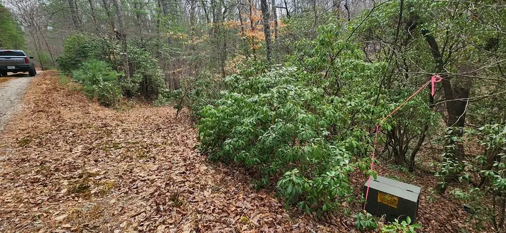 Lot 18 Gray Fox Trail, Blairsville, GA 30512 - #1