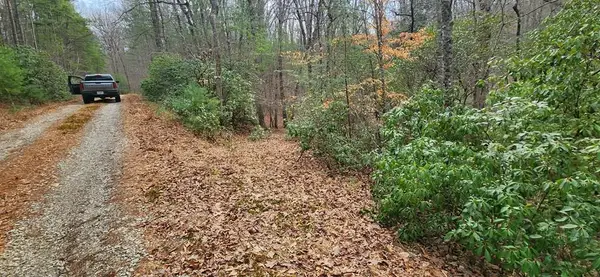 Lot 18 Gray Fox Trail, Blairsville, GA 30512