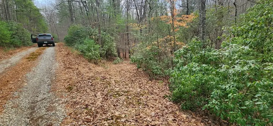Lot 18 Gray Fox Trail, Blairsville, GA 30512 - #2
