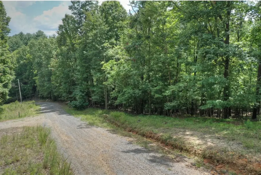 Lot 22 Mull Lane Circle, Morganton, GA 30560 - Image #3