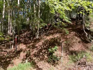 Lot 278 Guidon, Ellijay, GA 30540 - Image #2