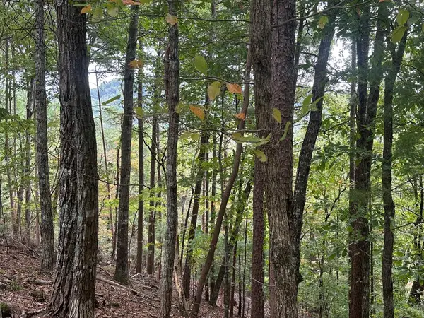 Lot A28 Laurel Ridge Drive, Ellijay, GA 30536