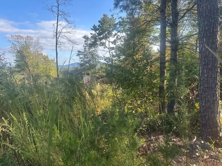 Lot 44 Ridgeline Lane, Mineral Bluff, GA 30559 - Image #3
