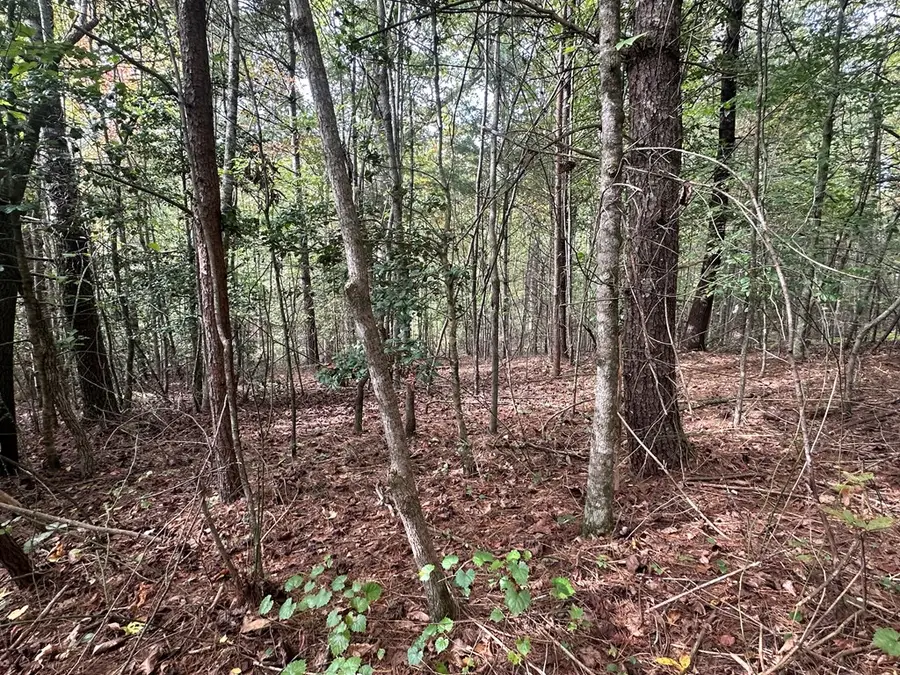 Lot 14 Pine Grove Drive, Epworth, GA 30541 - Image #2