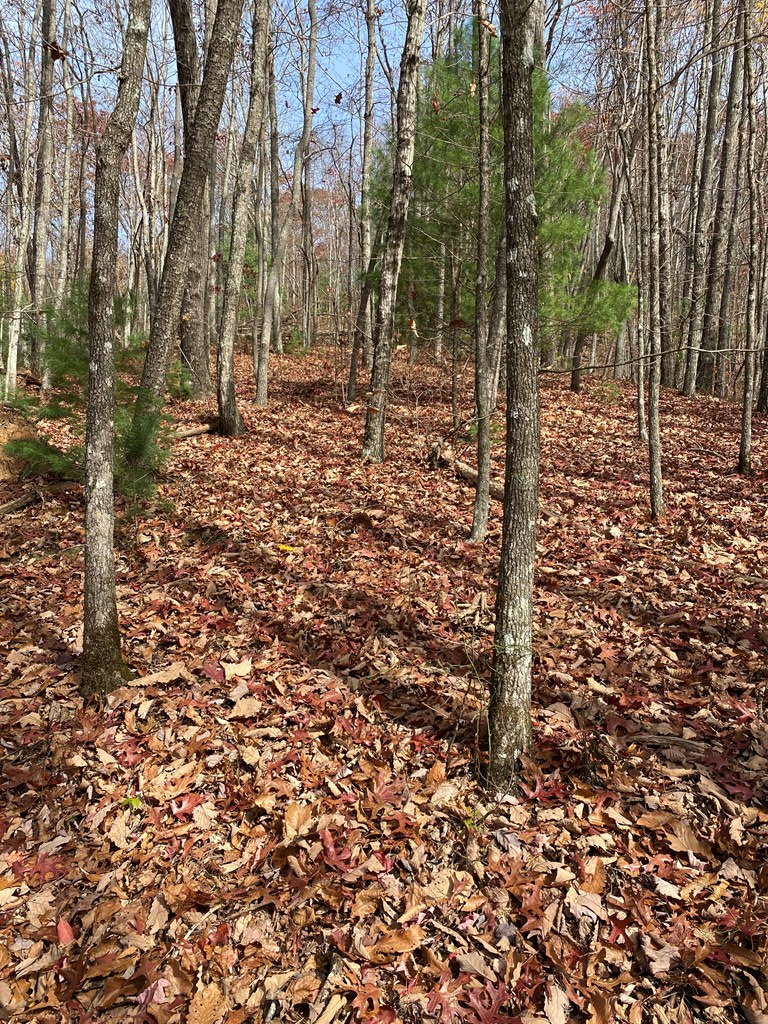 L334 335 Brushy Top Drive, Ellijay, GA 30540 - #3