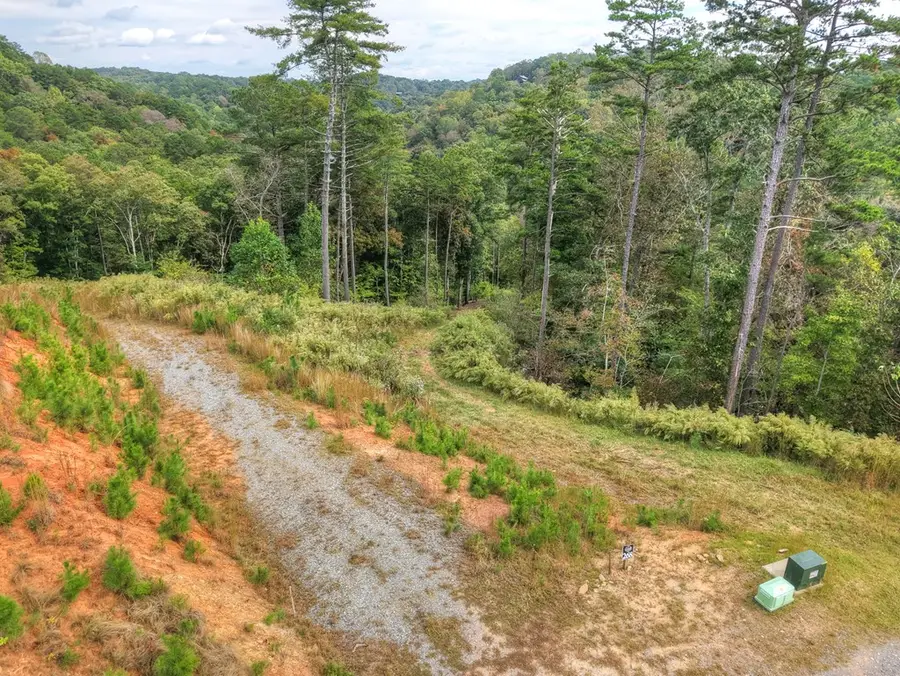 LT 269 River View Trail, Ellijay, GA 30540 - Image #2