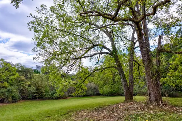 6.89Ac Fox Fields, Blairsville, GA 30512