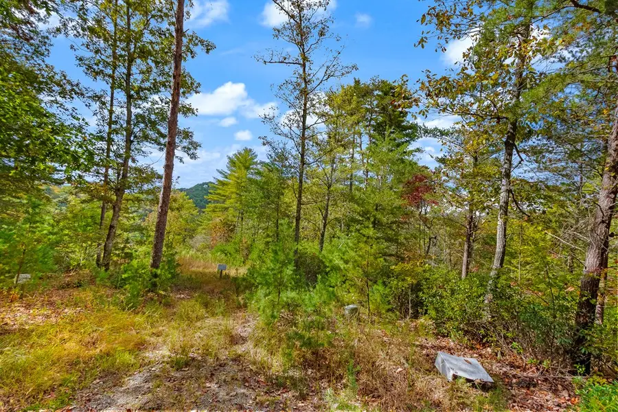 00 Mountain Watch Lane, Murphy, NC 28906 - Image #3