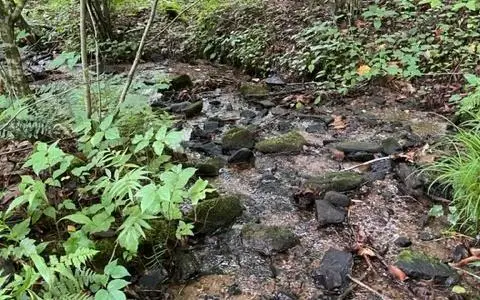 0 Trackrock Gap Road, Blairsville, GA 30512 - Image #2