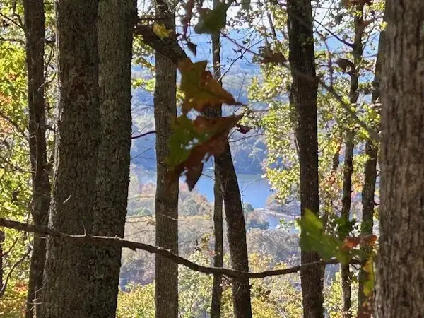 630 Hot House Road, Hayesville, NC 28904