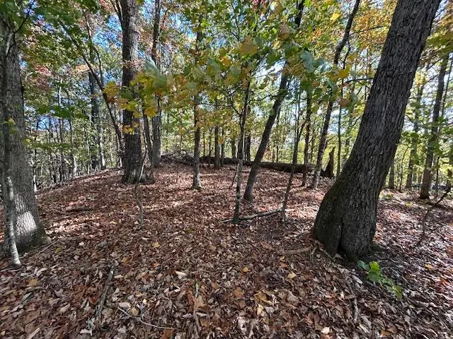 630 Hot House Road, Hayesville, NC 28904 - Image #2