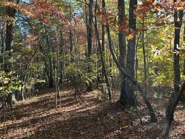 630 Hot House Road, Hayesville, NC 28904 - Image #3