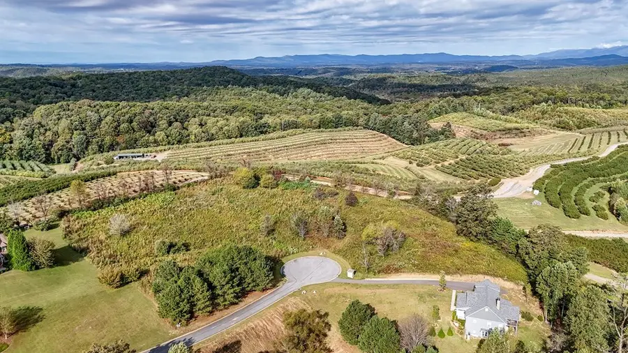 Lot 22 Ridgemont Lane, Ellijay, GA 30536 - #2