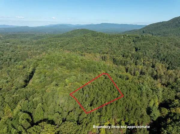 Tract 1 Turniptown Road, Ellijay, GA 30536
