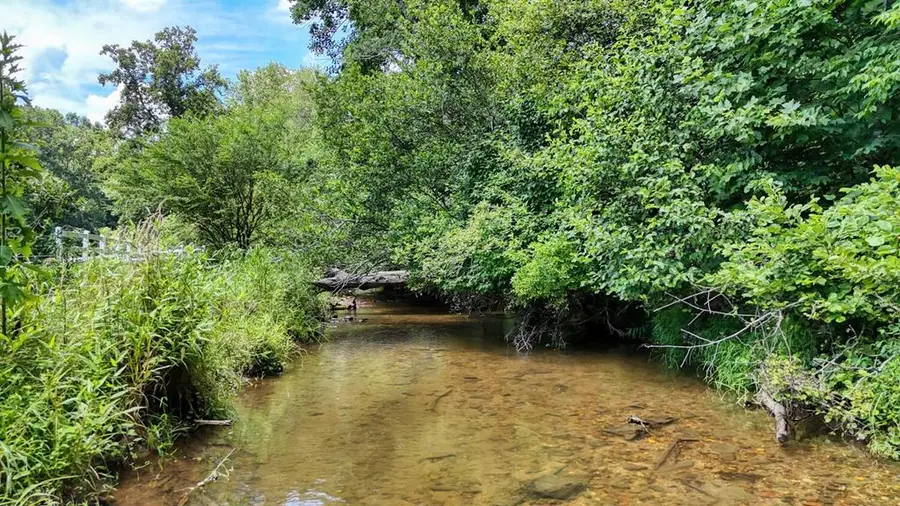 273 Coosa Valley Road, Blairsville, GA 30512 - Image #3