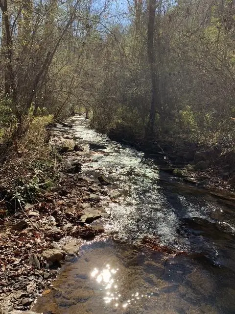 Lot 95 Cedar Road, Ellijay, GA 30540