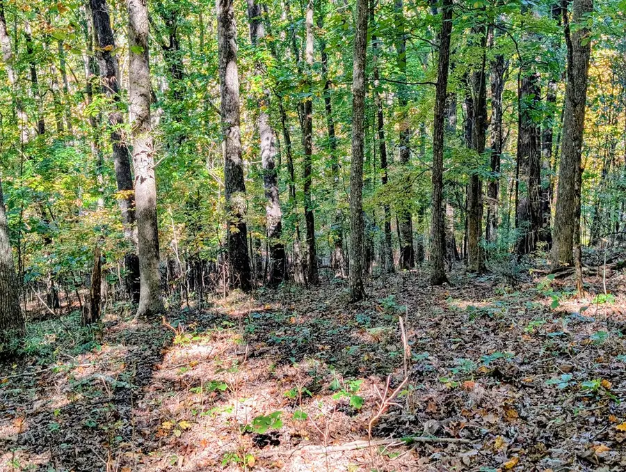 LOT 30 Rocky Knob Drive, Young Harris, GA 30582 - #2