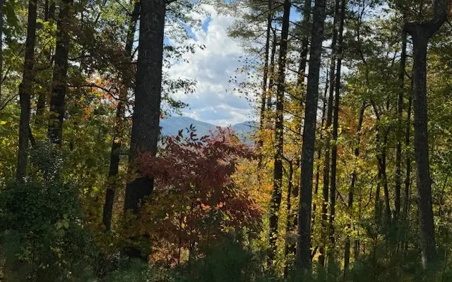 Lt 56,57 Hemlock Heights, Suches, GA 30572 - Image #3