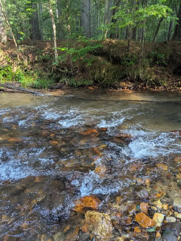 86 Tipton Court, Cherry Log, GA 30522