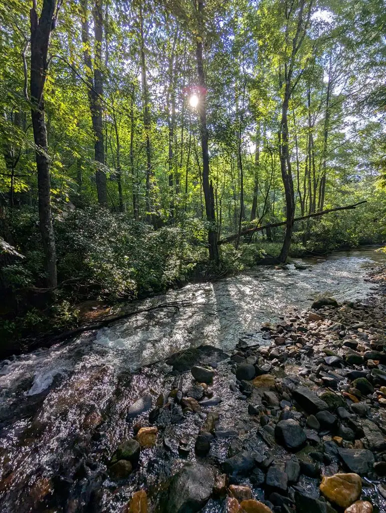 86 Tipton Court, Cherry Log, GA 30522 - Image #3