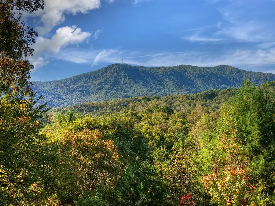 113 Deer Hunter Trail, Blue Ridge, GA 30513 - Image #3