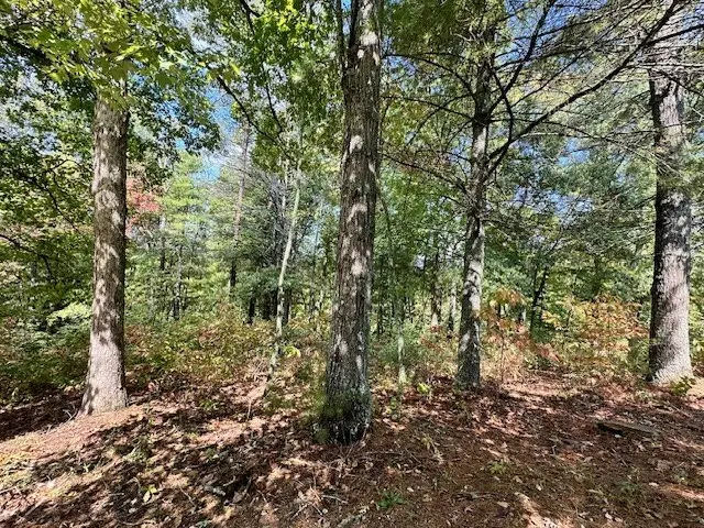 Lot 215 Old Toccoa Loop, Mineral Bluff, GA 30559 - Image #2