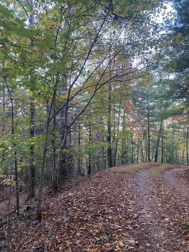 NA Nelson Circle, Blairsville, GA 30512 - Image #1