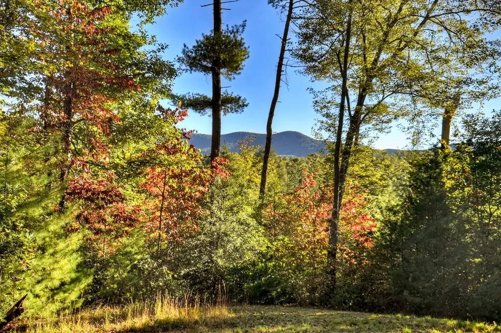 12.64 AC Harrison Sluder Road, Ellijay, GA 30540 - #1
