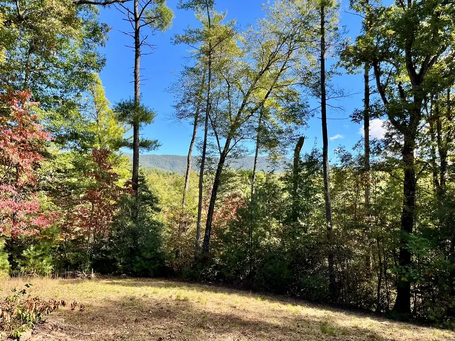 12.64 AC Harrison Sluder Road, Ellijay, GA 30540 - #3