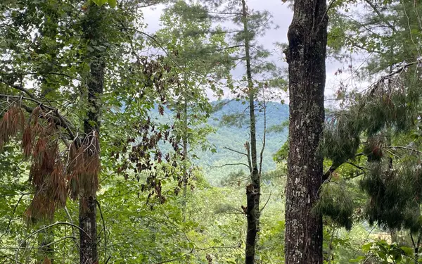 Lot 55 Laurel Trail, Suches, GA 30572