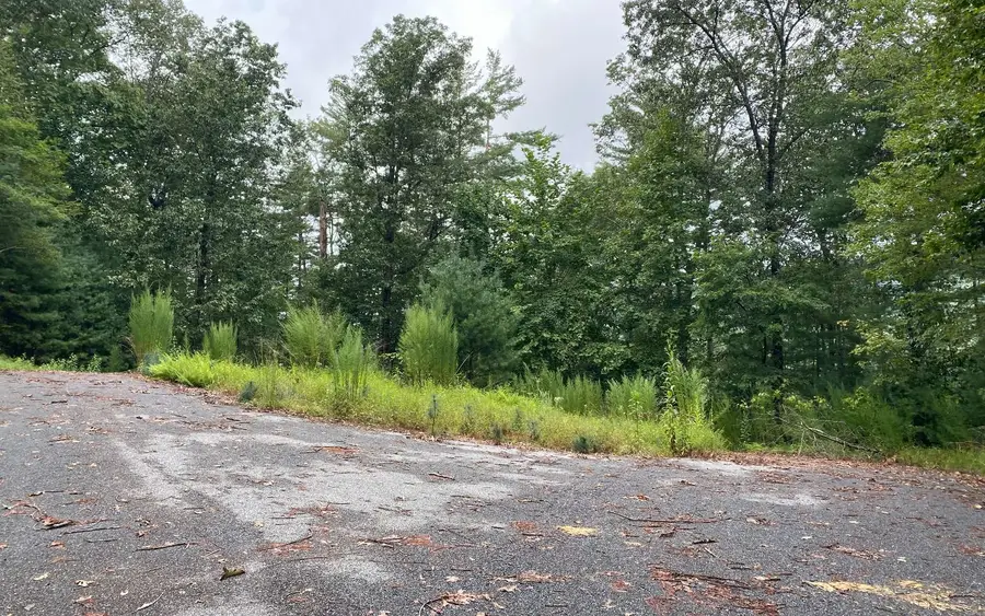 Lot 55 Laurel Trail, Suches, GA 30572 - Image #2