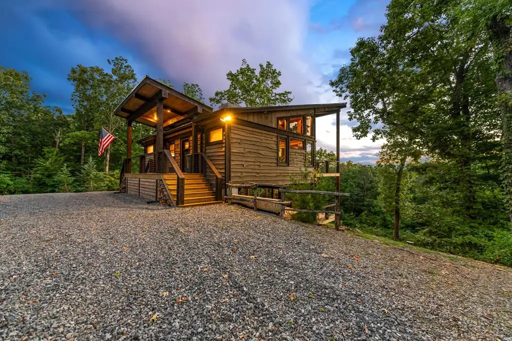 361 June Bug Lane, Blue Ridge, GA 30513 - #1
