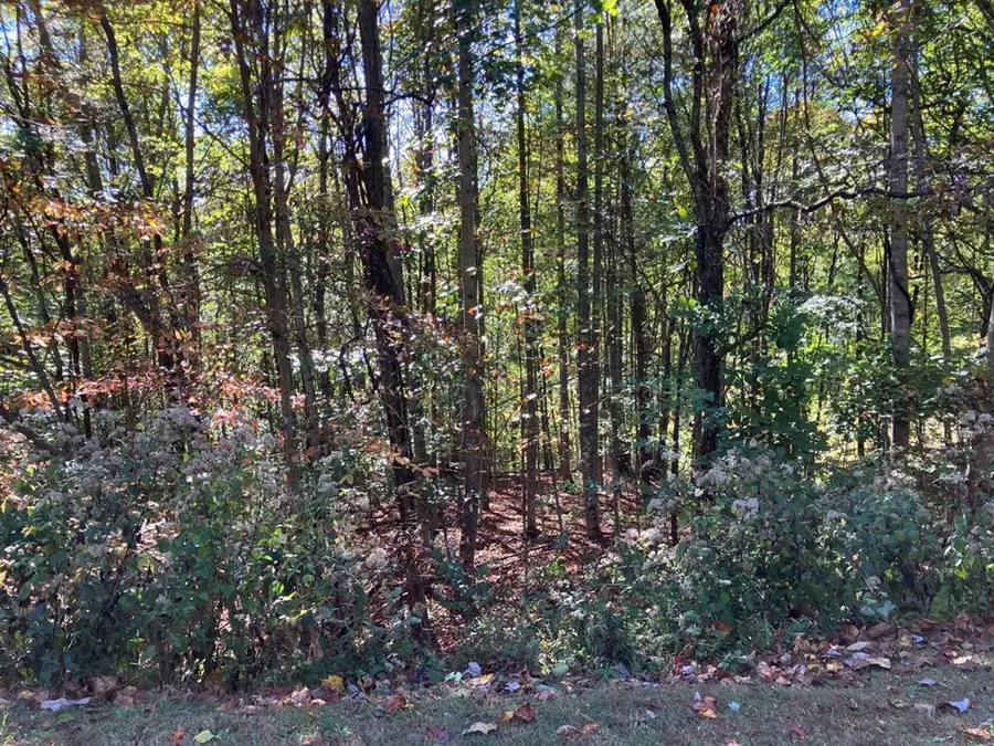 28/29 Sanctuary Drive, Murphy, NC 28906 - Image #2