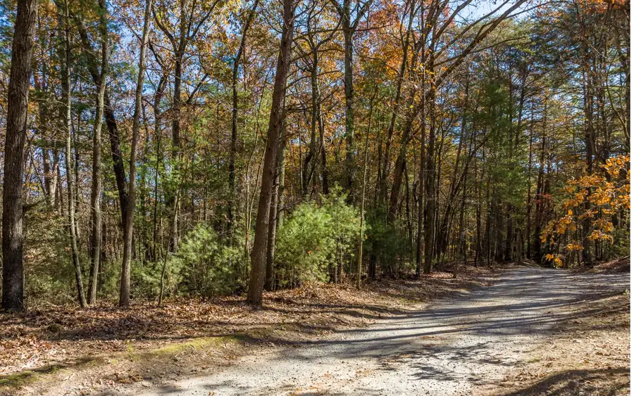 1 TR Old Anderson Creek, Ellijay, GA 30536 - Image #2