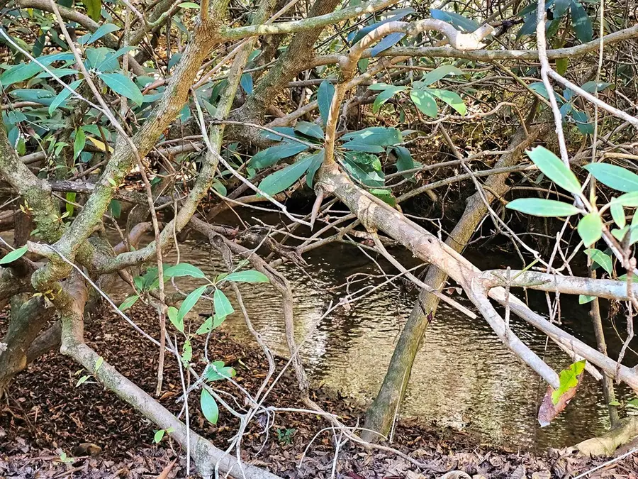 Lot 12 Kaitlan Lane, Murphy, NC 28906 - Image #2