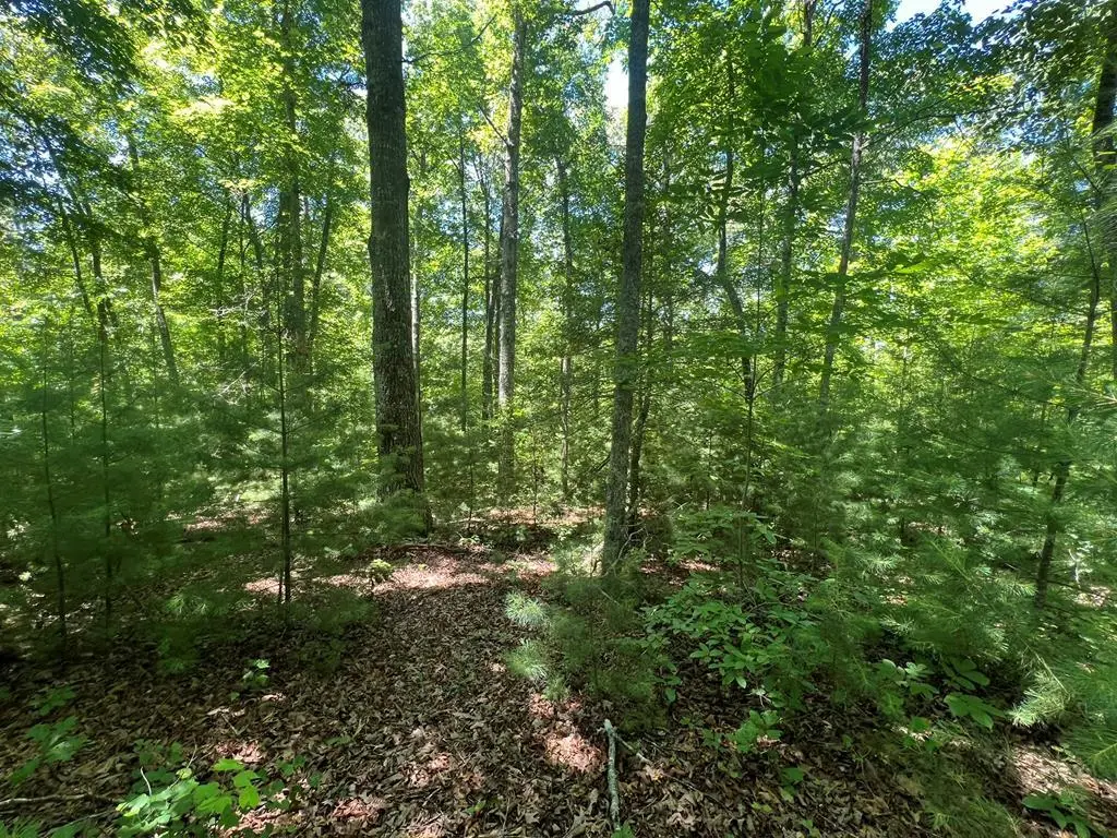 0 Paw Paw Trail, Murphy, NC 28906 - #1