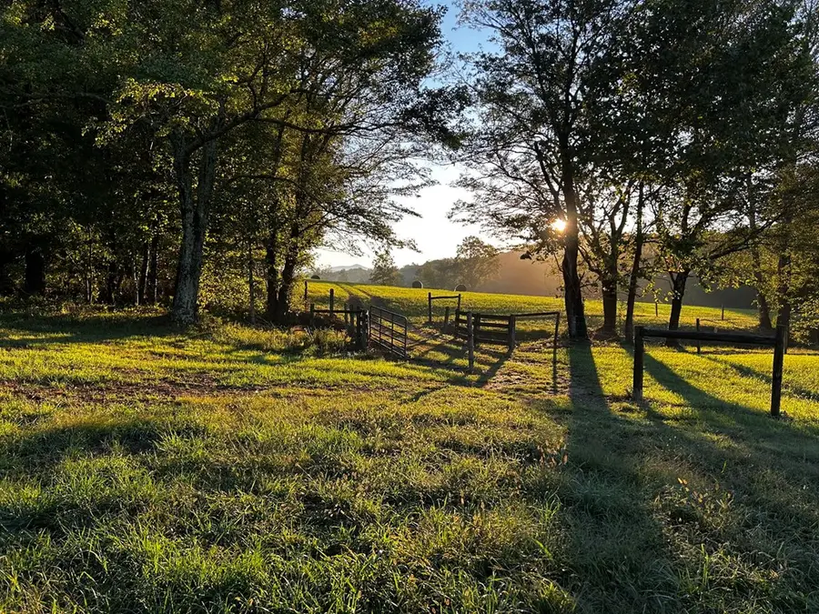 3147 Old Hwy 64w, Warne, NC 28909 - Image #3