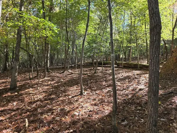 Lot #385 Zenith Trail, Ellijay, GA 30540