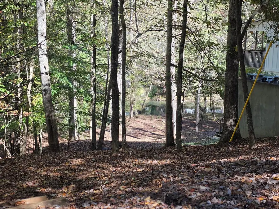 Lot #385 Zenith Trail, Ellijay, GA 30540 - Image #2