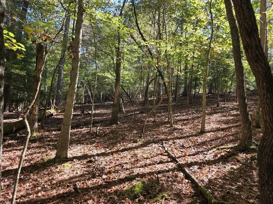 Lot #385 Zenith Trail, Ellijay, GA 30540 - Image #3