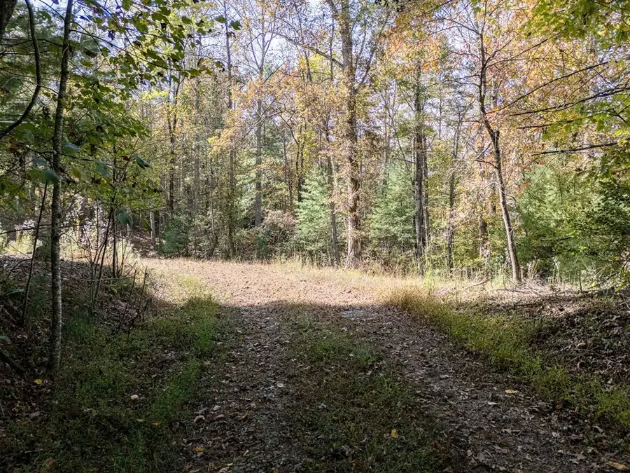 L21 & 22 Eastridge Court, Blairsville, GA 30512 - Image #2