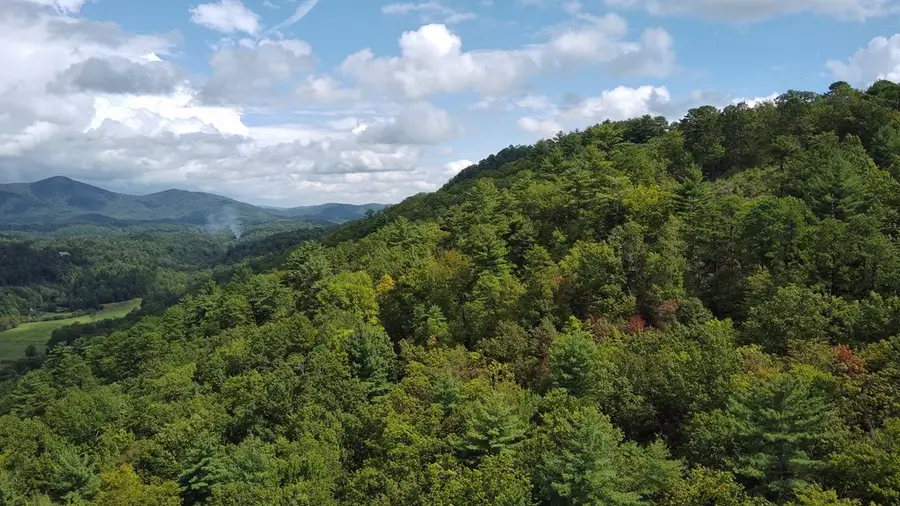 Lot 5 Sequoia Hills Ln, Clayton, GA 30525 - #3