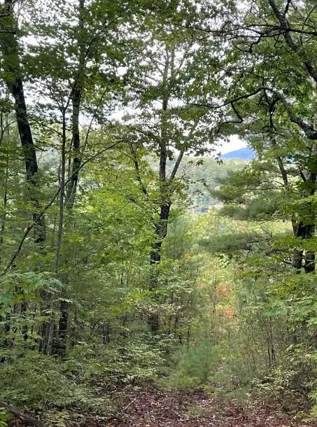 Lot 6 Sequoia Hills Ln, Clayton, GA 30525 - #3