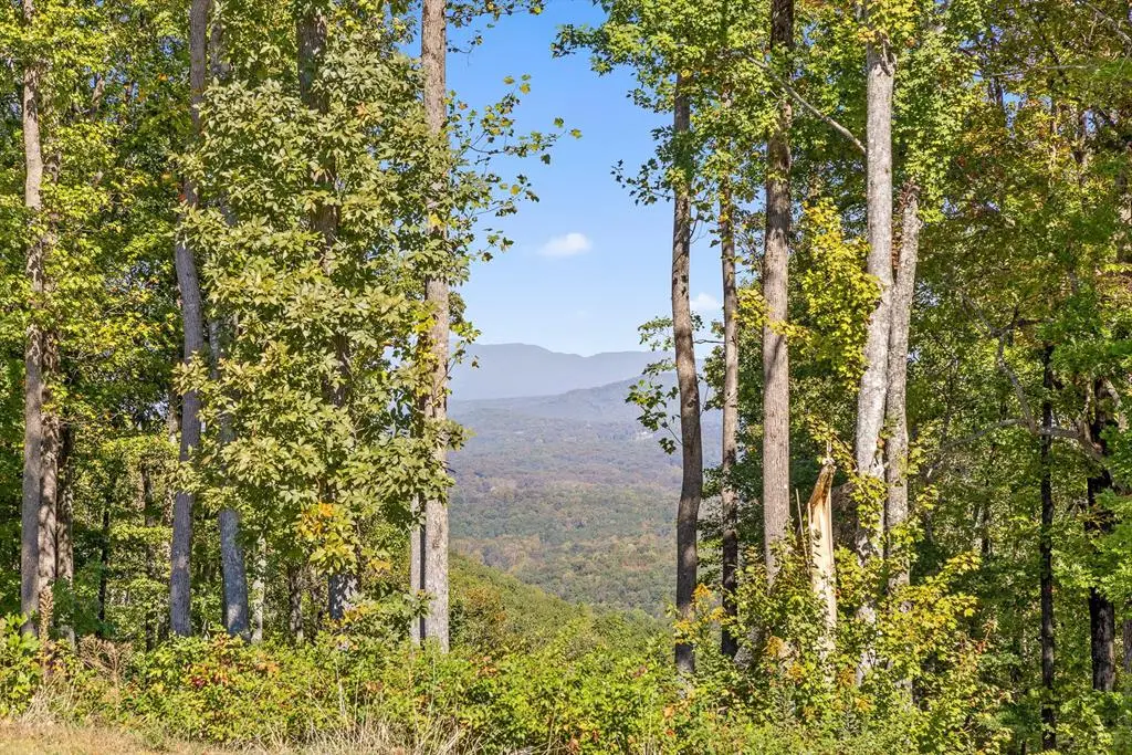 Lot 44 High Summit Drive, Talking Rock, GA 30175 - Image #1