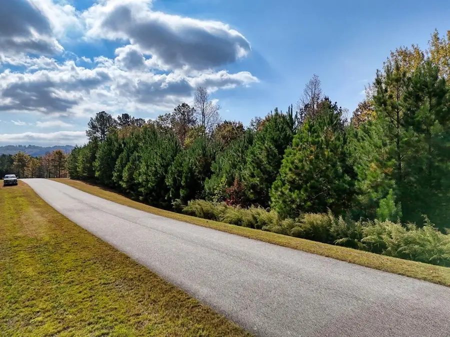Lot 42 Water Oak Lane, Blairsville, GA 30512 - Image #2