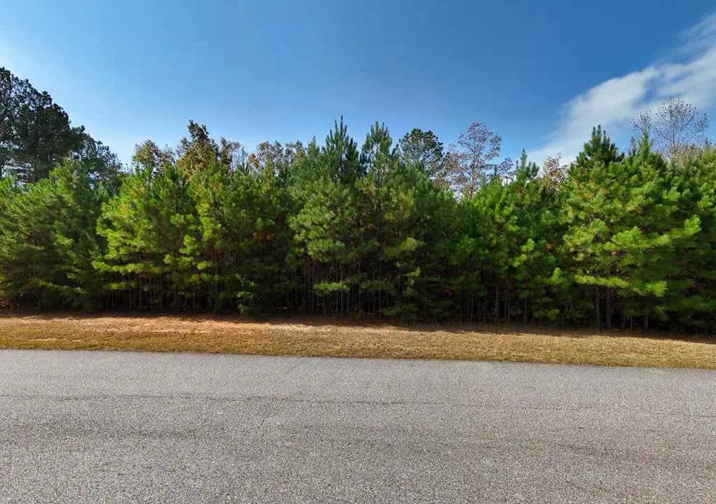 lot 43 Water Oak Lane, Blairsville, GA 30512 - Image #1