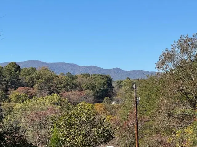 22 Orange Lane, McCaysville, GA 30555 - Image #2