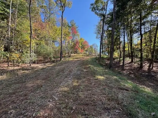 0 Pinelog Road, Young Harris, GA 30582 - Image #2